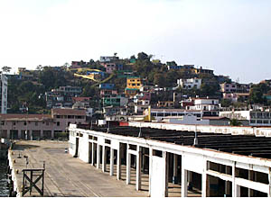 Pastel-colored houses on the hillside of Manzanillo greet the ship as it pulls into the dock. 