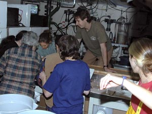 Excited scientists scramble to see the incoming plankton sample. Brennan Phillips, graduate student at the University of Connecticut, climbed onto the lab bench for a better view. (Photo by K. Madin) 