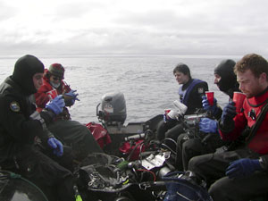 It�s traditional to have hot coffee or cocoa waiting for the divers when they return to the dive boat. This time, Jamee Johnson brought cocoa for the divers. From left, Erich Horgan, Jamee Johnson, Diane DiMassa, Brennan Phillips, and Jeff Mercer. (Photo K. Scolardi, Mote Marine Lab)