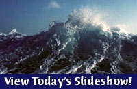 slideshow launch icon