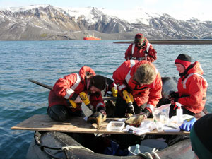 Brenna and Wally use drills to sample pieces of whale bone collected in Deception Island, Antarctica. Lena (right) and Jamee look on, and the Gould is in the background.  
