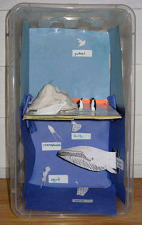 student model of ecosystem