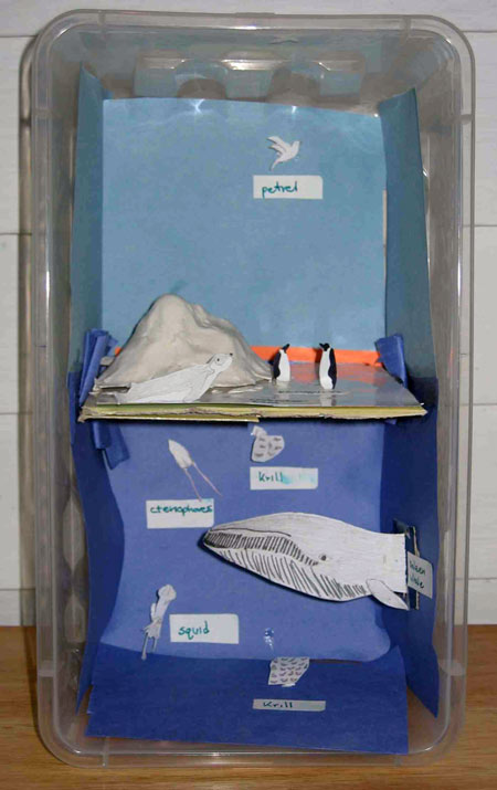 student model of ecosystem