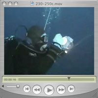 diving video #1