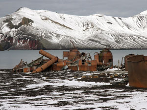 Rusting metal tanks mark the site of whale oil processing at the whaling station ruins in Whaler’s Bay. (Photo by Jun Nishikawa, University of Tokyo)