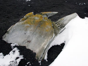 Up on the main deck, Diane puts on the first of three pairs of gloves: this one of fleece. By this stage, she is becoming very warm in all these clothes.
