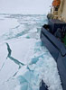 Ice Breaking Hot Topic