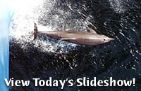 View Today's Slideshow!