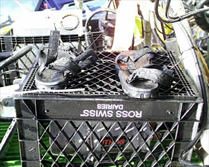 Though Del did not know it, the Alvin group conducted an experiment on Teva shrinkage by attaching them to the basket of Alvin. The hypothesis - Tevas will shrink the same as a styrofoam cup.