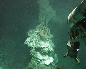 TY vent. This vent has tumbled over since it was last visited in May 1999. As this photo shows, it has grown by a few meters since it fell down. The distance across the bottom of the photograph is about 2 meters. 