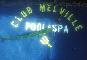 Remember the first photo of Dave Murline fishing? Well, he needed a place to keep his mahi mahi fish and the ship’s pool seemed like the ideal spot.