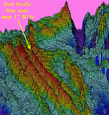 A 3-dimensional model of the East Pacific Rise seafloor that Uta Peckman produced based on the multibeam bathymetry survey we ran early this morning. The red colors indicate where the ridge is higher (at a water depth of 2900 meters), and the blue and purple colors indicate where there are valleys (at water depths greater than 3400 meters). Our next step is to survey an area along, and to either side of, the axis for several kilometers (see yellow arrow), which is where the earthquakes occurred that we recorded with the Autonomous Hydrophone Array. 