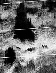 Aliens at the bottom of the ocean? The black “hat” on the alien is the shadow created from a small volcanic cone that creates the elevated seafloor (brighter portion) just above the “eyes” (forehead region). The white lines running across the image are spaced 100 meters apart. One way that we can check how high a feature is on the seafloor is by measuring how long a shadow it casts.