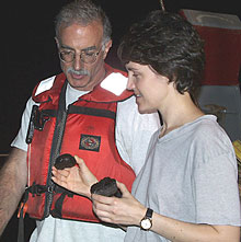 Mike Perfit and Maya Tolstoy discuss the successful dredging that was carried out tonight. We took three dredges along the East Pacific Rise axis between 1&deg; 42’N and 1&deg; 45’N. We recovered fresh volcanic glass, pillow lava, and some lobate lava in the dredges. Mike’s preliminary finding was that the dredge near 9&deg; 45’N looked like it had slightly fresher volcanic glass. Does this mean that the 1997 eruption happened there? We will lower Argo II to the seafloor tomorrow morning to have a look! 