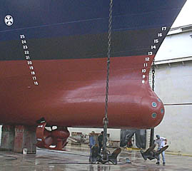The bow of the R/V Melville with the anchors let down so the Able Seamen can paint them. The bow thruster (sticking out from the bottom of the ship) is about two-thirds of the way out. It is used when precise maneuvering is required, or when the ship must be held in one place. It can be retracted into the hull when it is not needed. The bulbous shape of the bow improves the efficiency of the hull at full speed. The ship is resting on six feet high keel blocks.