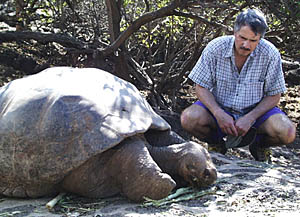 Dan Fornari studies one of the Galapagos tortoises as it has a bite to eat. These animals are truly a wonder to look at. They seem so prehistoric! 
