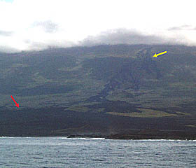 The southwest coastline of Fernandina Island. The red arrow is pointing to the lava flow erupted in 1995; the yellow arrow points to the lava erupted in 1982. The 1982 eruption came from vents located higher up on the volcano and dribbled down the slope towards the ocean. All of the skinny fingers of lava on the slope below the yellow arrow are 1982 lava.