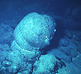 Can you guess what type of lava this is? It is a ______ basalt showing the rough surfaced “elephant hide” texture that forms instantaneously when the molten rock hits the near-freezing seawater at the seafloor. It is about 1 meter tall. See last slide for answer.