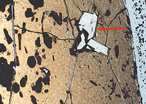 A photograph taken through a microscope showing the outermost glassy rind of a seafloor lava. The tan to brown colored material is glass that cooled so rapidly there was no time for crystals to form. The rectangular, white crystals (red arrow) are the mineral plagioclase that crystallized from the molten rock. The dark areas around the plagioclase and the clots on the left side of the photo are zones that were just starting to crystallize before they solidified, so they could not form good crystals. The photograph is about 4 cm wide. 