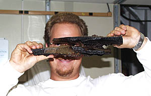 Erin Todd peers through one of the interior layers of a sheet flow sample retrieved by dredge last night from the Galapagos Rift valley floor. Each layer of rock is about 2 to 3 centimeters thick, about 1 inch. 