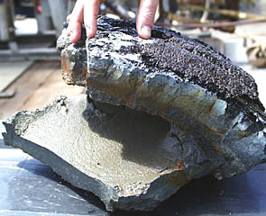 A beautifully preserved interior ledge inside a pillow crust recovered in Dredge #41 today. These ledges form when some lava inside the chilled outer crust of a newly formed pillow drains out quickly from the center. The lava remaining inside continues to cool and forms horizontal layers of crust inside the outer crust. Then, if the pillow cracks and the rest of the lava spills out, what remains is a lava pillow with the original outer crust and one or more inner shelves of lava. Tim Haskell’s fingers are shown for scale. 