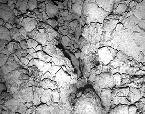 A small fissure cuts through broken-up lobate lava. The bottom of photo is about 4 meters across. 