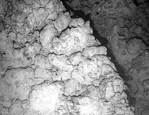 A small fault cuts through the pillow lava. The area on the right side of the fault is lower than the left side by about 1 meter. That tells us that the left side is the “down thrown” side of the fault. The bottom of photo is about 4 meters across.