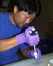 Graduate student Yong-Jin Won uses a pipette while extracting DNA from snail tissue.  
