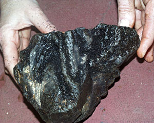 A rock collected in yesterday’s dredge looks like it has ropes on its surface. Called ropy lava, this rock still retains the original shape of the fast-moving lava surface when it was erupted. The dull gray coating on the surface is a manganese oxide that tells us the rock is old - new rock is covered in shiny volcanic glass.  