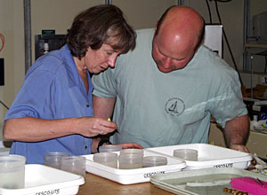 Biologists Cindy Van Dover and Tim Shank sort shrimp collected using Jason’s slurp sampler. Many of the shrimp were alive when they arrived at the surface today. 