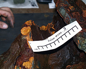 This old black smoker chimney collapsed onto the seafloor and has been slowly “rusting” in the cold seawater. The circular yellow areas show where long icicle-like structures made of “rust” were hanging from the rock when it was on the seafloor.  