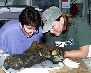 Microbial Biologist Colleen Cavanaugh and Biologist Shana Goffredi carefully pluck barnacles from a rock brought up from the Kairei Vent Field.  
