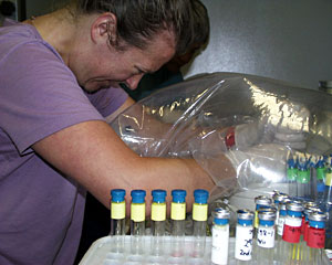 Microbiologist Dorothee Gotz grinds a chunk of the black smoker chimney under a plastic, oxygen-free hood. Oxygen kills the microscopic organisms she studies.  