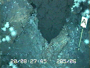 Newly discovered black smoker vent at 3283 meters depth near 23&deg; 52'S on the Central Indian Ridge. White marker A helps us locate the site for sampling.  