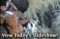 View Today's Slideshow!