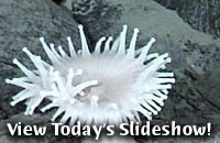 View Today's Slideshow!