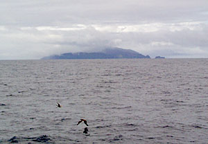 Around midday we passed Cocos Island. The setting of the movie Jurassic Park was supposed to take place on this island. Note the pterodactyls (really booby birds) in the foreground. 