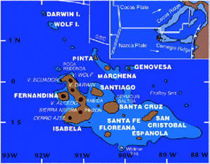  This map shows the different islands of the Galapagos Archipelago, as well as the major volcanoes on Isabela. The inset shows the different tectonic plates in the region. (Map courtesy of William White, http://www.cornell.edu). 