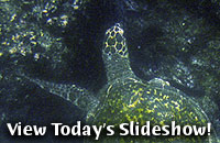 View Today's Slideshow!