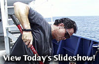 View Today's Slideshow!