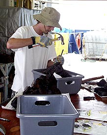 Ben Grosser chips glass from submarine lava rocks. Some of the scientists will be taking glass samples back to their labs for analysis.  