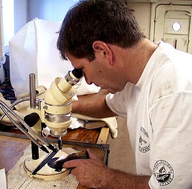 Chief Scientist Mark Kurz looks through a microscope at the minerals in a pillow basalt slab cut today.  