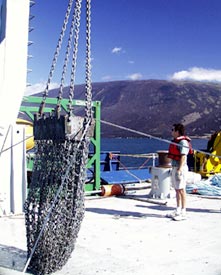Josh Curtice on the fan tail during dredging operations. We were treated to a close up view of Fernandina during a dredge that sampled the submarine slope within a kilometer of the shoreline.  
