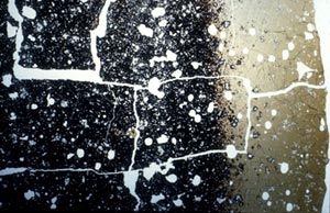 A thin slice of a submarine lava flow showing the outer glassy rim, which is about one centimeter thick. The round white spots are bubbles in the glass that have been sliced open. The inside darker part of the rock is not as glassy because it cooled slower than the outside. Cooling of the rock forms the cracks. 