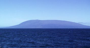 Fernandina is the backdrop for today’s operations. 