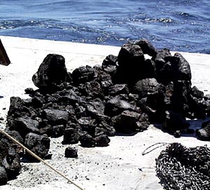  Dredge 44 pillow lava after it tumbled on deck as we emptied the dredge bag. 