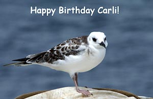 Christy Reed wishes her cousin Carli Cahill a happy 11th birthday. 