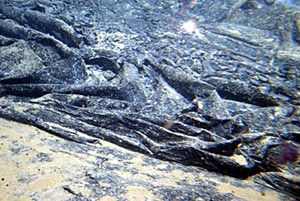  A fresh sheet flow of lava drapes like a curtain over the seafloor. 