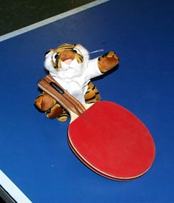  A new contestant in the 2002 Gal&aacute;pagos Rift Invitational table tennis tournament! Tigger is the traveling companion of scientists from TIGR (The Institute for Genomic Research). 