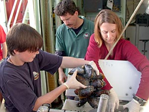  Graduate students Rhian Waller and Lara Kemper pull a clump of large mussels out of Alvin&rsquo;s basket after Dive 3795 today.